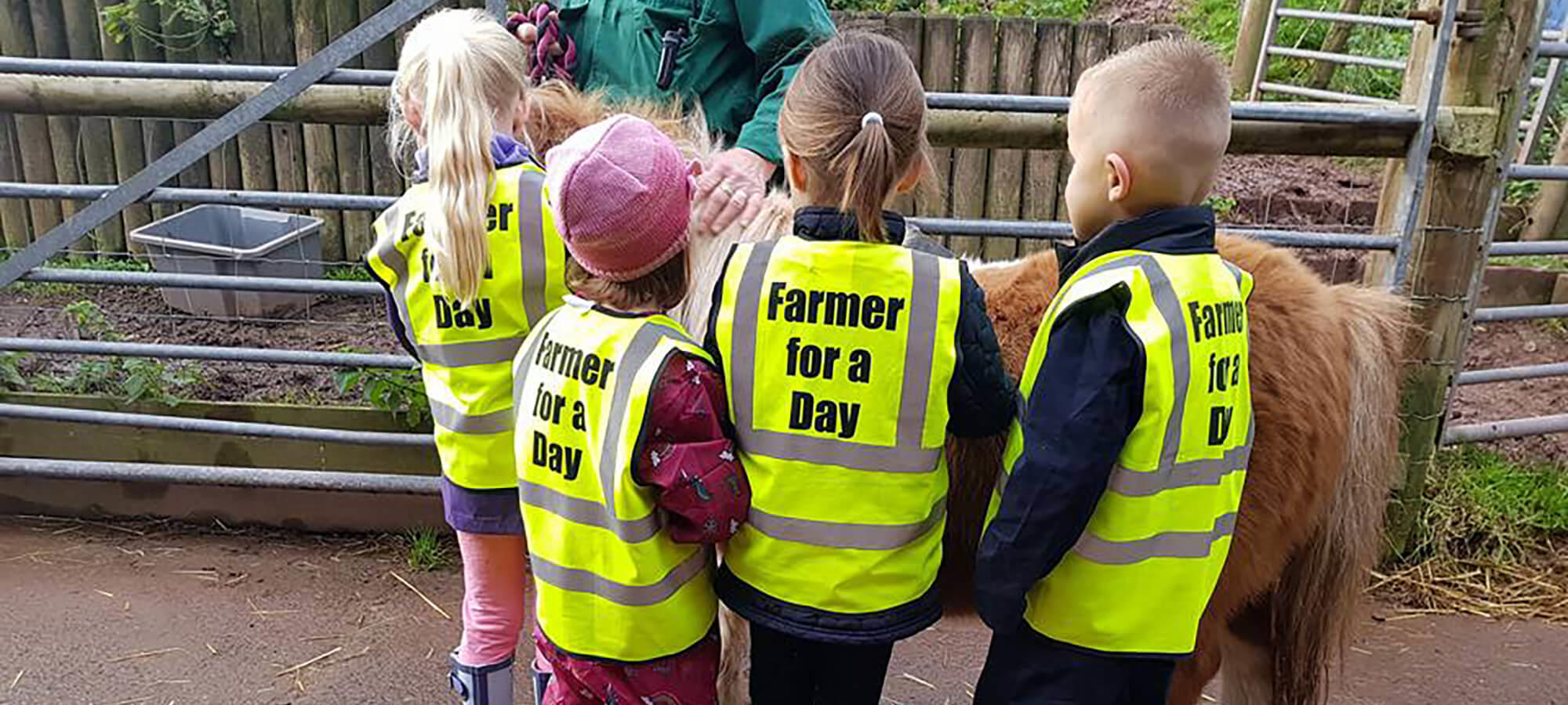 Children taking part in the Farmer for a Day experience