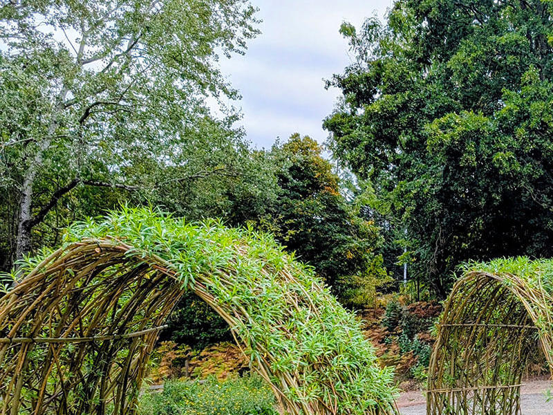 Willow structures