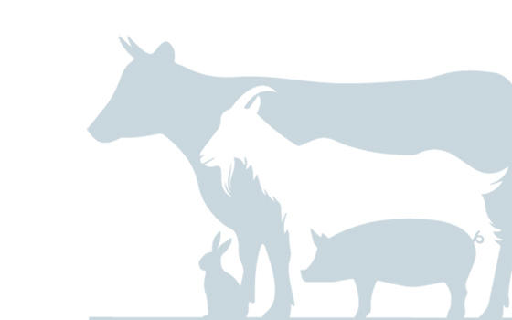 Greenmeadow Farm logo