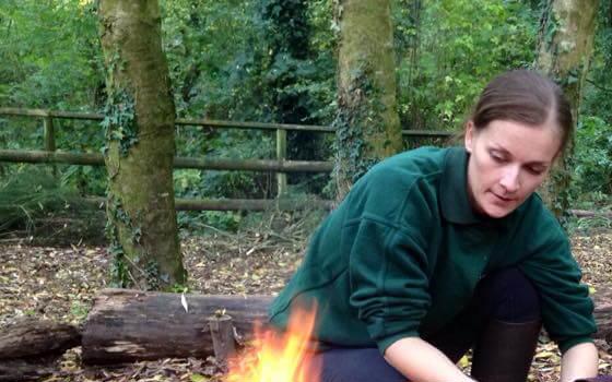 A member of staff and child toasting marshmallows on a fire in the woods