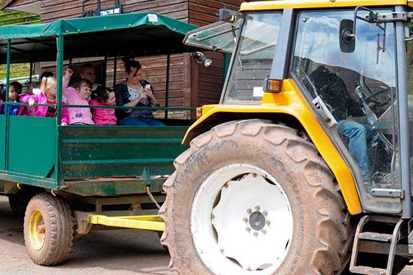 Yellow tractor towing a green trailer full of families enjoying their tractor ride
