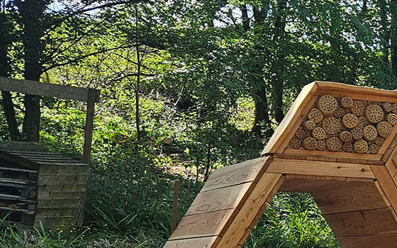 Wooden outdoor activity equipment at The Dell