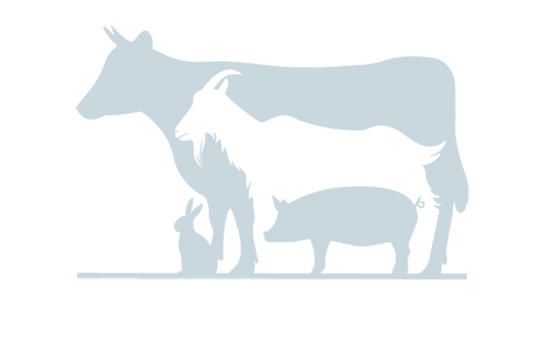 Animals from Greenmeadow Farm logo