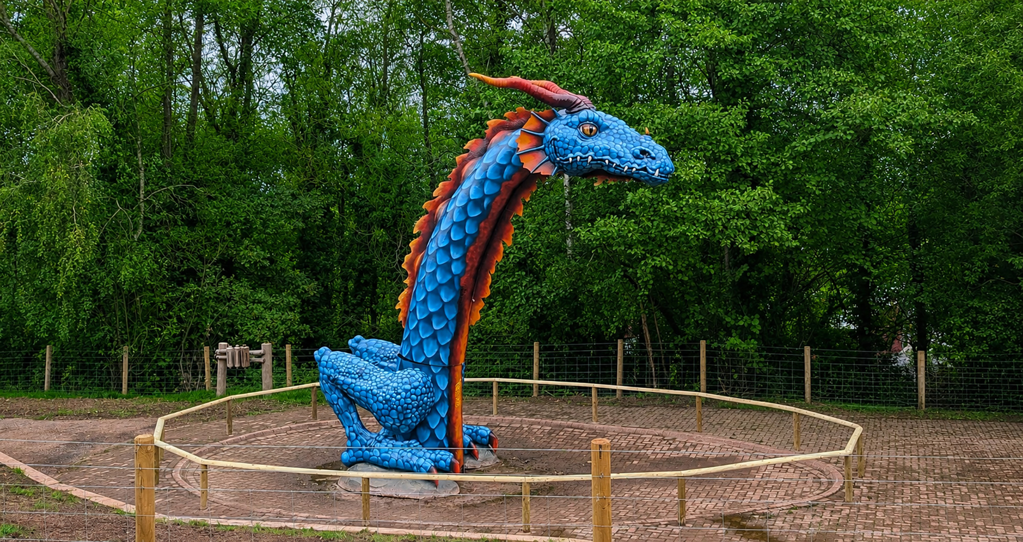 Rex the Dragon